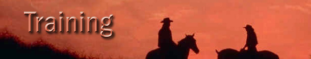 Matt and Dr. Elizabeth Fullbright - Quality, Honest Horse Training